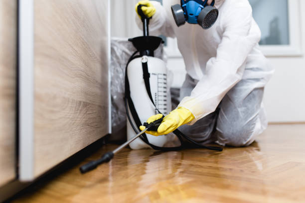 Best Bed Bug Extermination  in Pico Rivera, CA