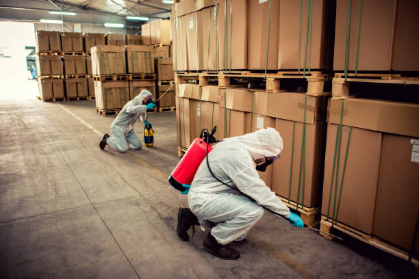 Best Pest Control for Homes  in Pico Rivera, CA
