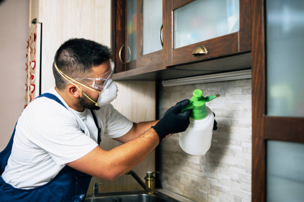 Best Cockroach Control Services  in Pico Rivera, CA
