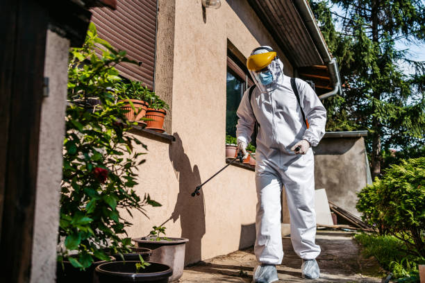 Best Local Pest Control Services  in Pico Rivera, CA