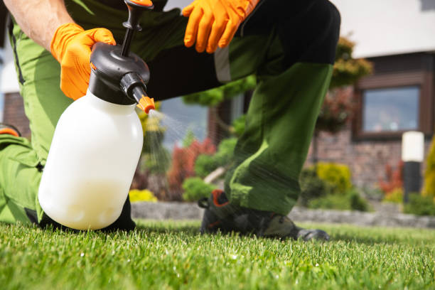 Best Mosquito Control Services  in Pico Rivera, CA
