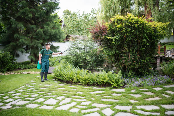 Best Pest Control Near Me  in Pico Rivera, CA