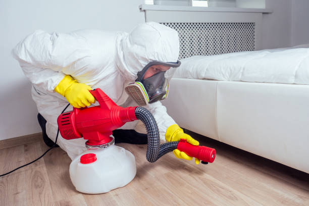 Best Pest Prevention Services  in Pico Rivera, CA