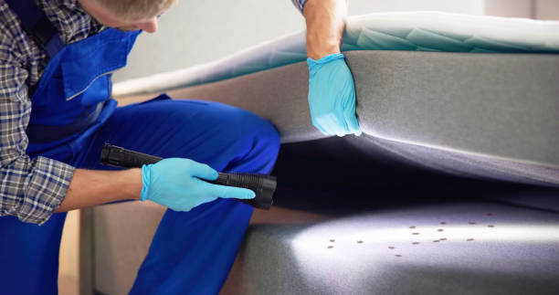 Best Emergency Pest Control  in Pico Rivera, CA