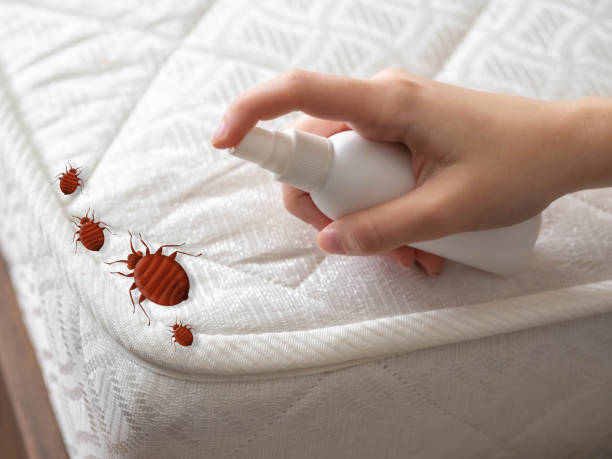 Best Best Pest Control Companies  in Pico Rivera, CA
